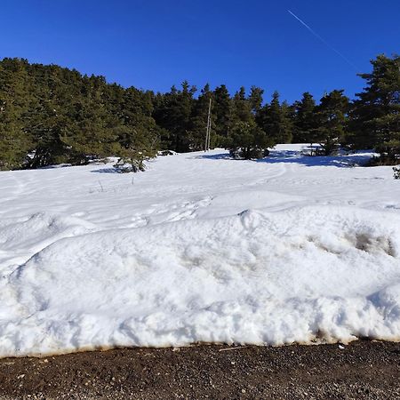 Appartement Greoliere Les Neiges Avec Exterieur Greolieres Esterno foto